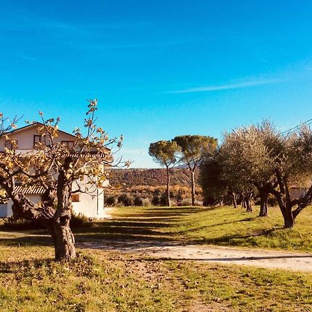 Le Terre D'Abruzzo Guest House Alanno Екстериор снимка