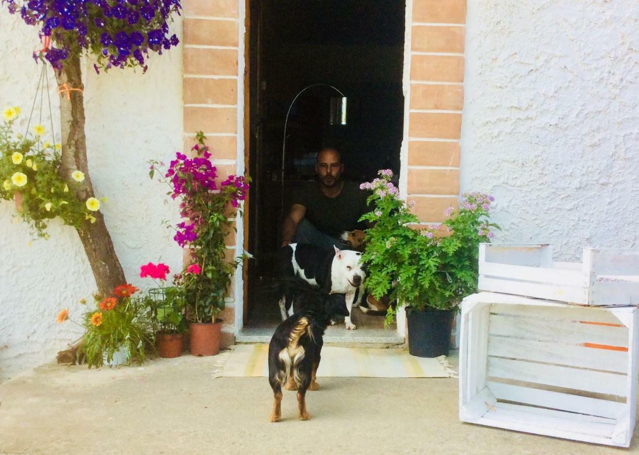 Le Terre D'Abruzzo Guest House Alanno Екстериор снимка
