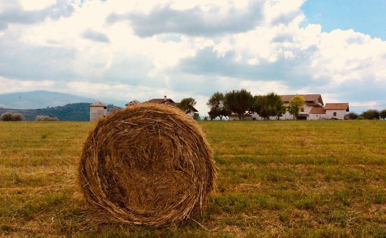 Le Terre D'Abruzzo Guest House Alanno Екстериор снимка